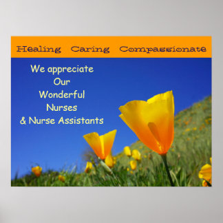 We Appreciate Wonderful Nurses CNAs Nursing poster