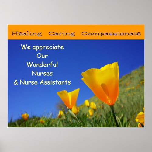 We Appreciate Wonderful Nurses CNAs Nursing poster