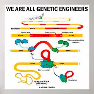 We Are All Genetic Engineers (Gene Splicing) Poster