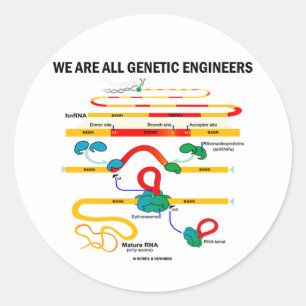 We Are All Genetic Engineers (RNA Splicing) Classic Round Sticker
