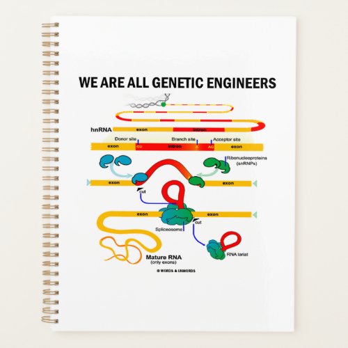 We Are All Genetic Engineers RNA Splicing Humor Planner
