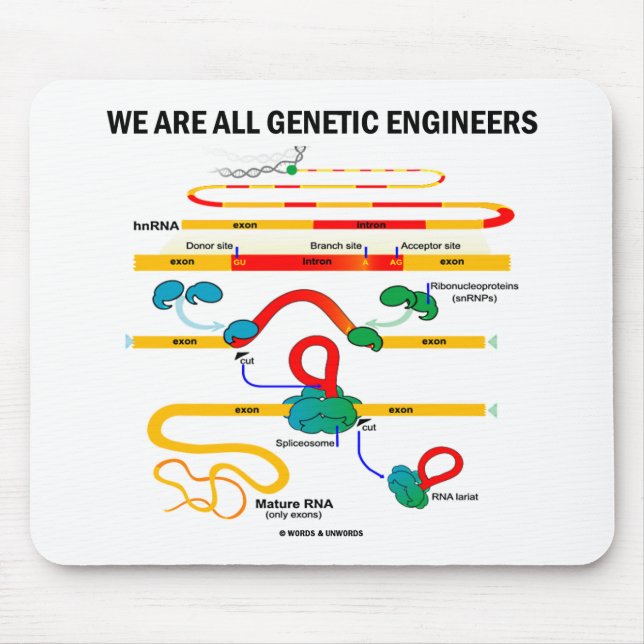 We Are All Genetic Engineers (RNA Splicing) Mouse Pad (Front)