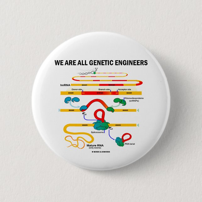 We Are All Genetic Engineers (RNA Splicing) Pinback Button (Front)