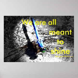 We are all meant to shine poster