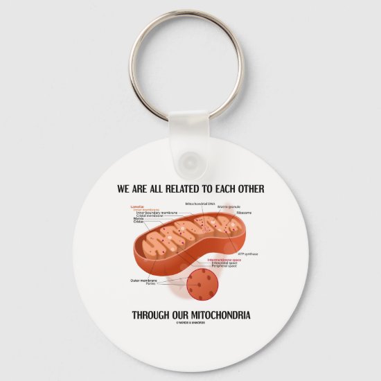 We Are All Related Each Other Through Mitochondria Keychain