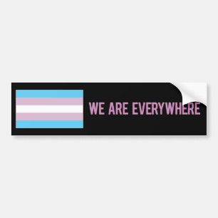 We Are Everywhere sticker (transgender)