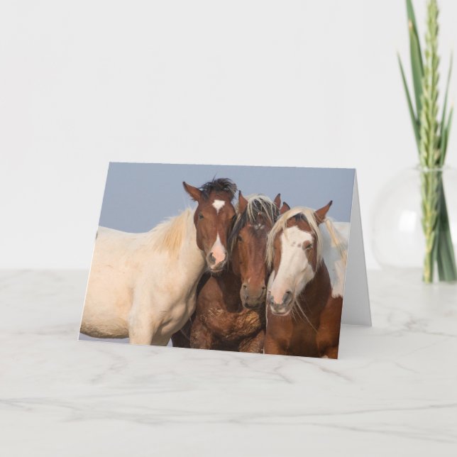 "We are Family" Note Card (Front)