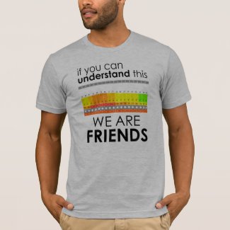We are friends Kiteboarding T-Shirt