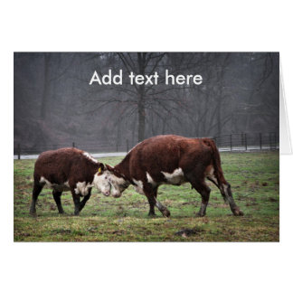 We Are Moooooving...