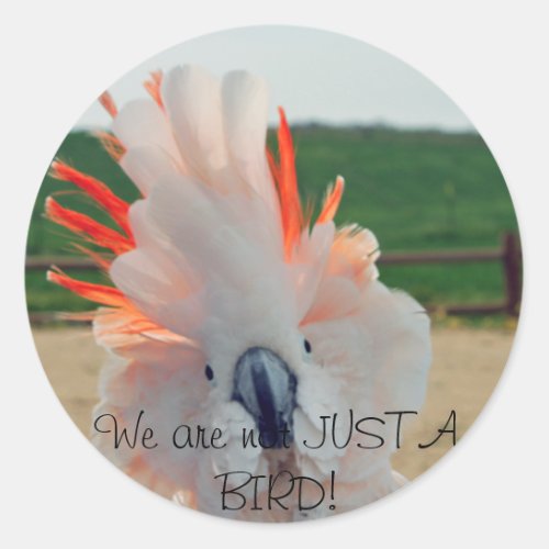 We are not JUST A BIRD Classic Round Sticker