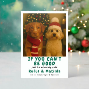 We Are on The Naughty List Dog Christmas Letterpress Photo Cards