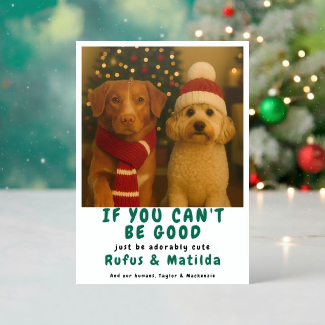 We Are on The Naughty List Dog Christmas Letterpress Photo Cards (Front (Into))