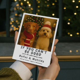 We Are on The Naughty List Dog Christmas Photo Holiday Card