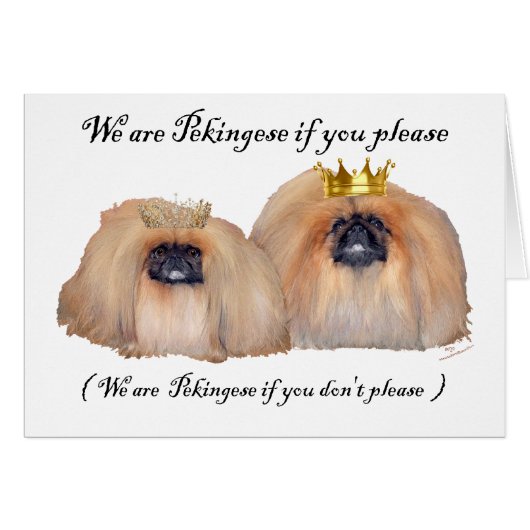 We are Pekingese Cards (Front Horizontal)