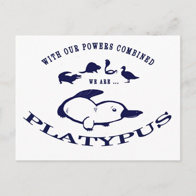 We are Platypus Postcard (Front)