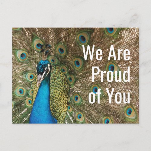 We Are Proud of You Beautiful Peacock Photo Postcard