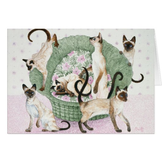 We are Siamese if you please Cards (Front Horizontal)