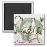 We Are Siamese If You Please Magnet at Zazzle