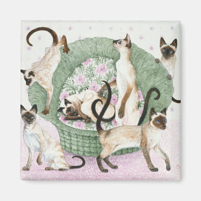 We are Siamese if you please Magnet (Front)