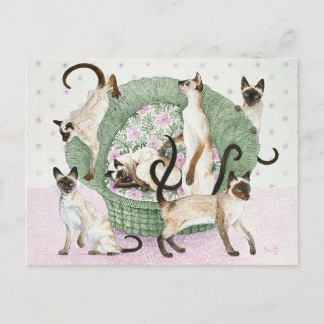 We are Siamese if you please Postcard (Front)