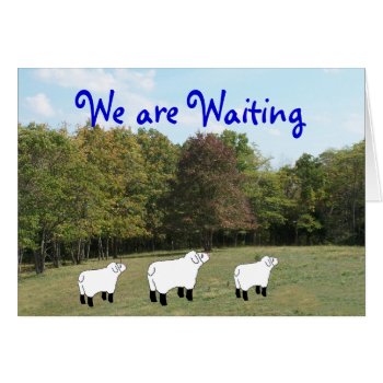 We Are Waiting-customize Any Occasion by MakaraPhotos at Zazzle