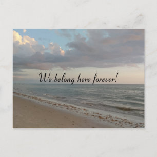 We belong here forever Cute Beach Picture Postcard