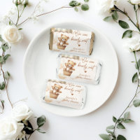 We can bearly wait teddy bear baby shower