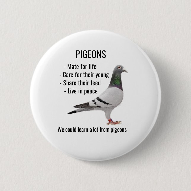 We Can Learn A Lot About Pigeons for pigeon fancie Button (Front)