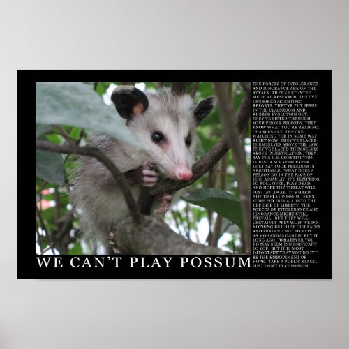 We Cant Play Possum Poster
