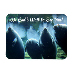 We Can't Wait to See You! Manatees Magnet