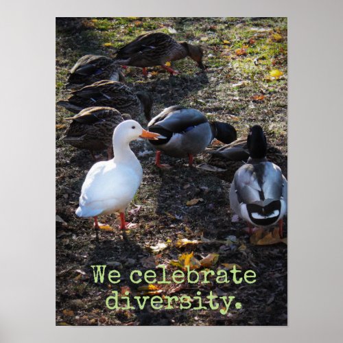 We Celebrate Diversity Poster Print