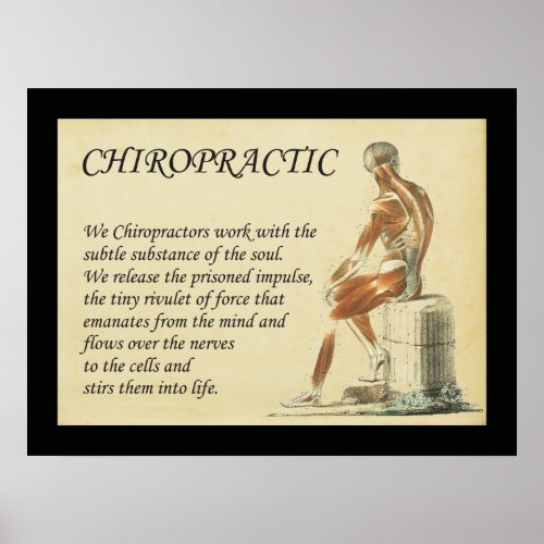 We Chiropractors Work with the Soul Poster