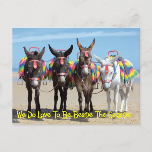 We Do Love To Be Beside The Seaside Donkey Rides Postcard