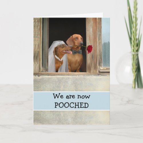 We Got Married Announcement with Dachshunds