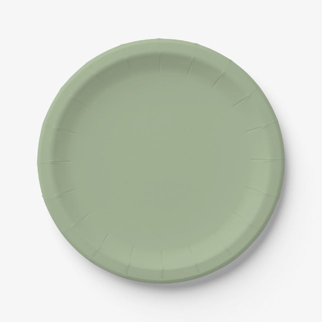 We Got Married Green Paper Plate (Front)
