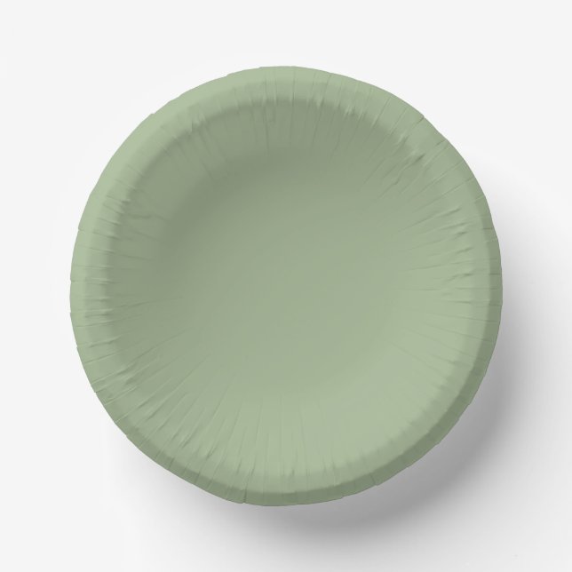 We Got Married Green Paper Plate Bowls (Front)