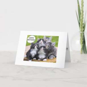 WE HAVE 9 LIVES "OVER THE HILL GROUP CARD" CARD