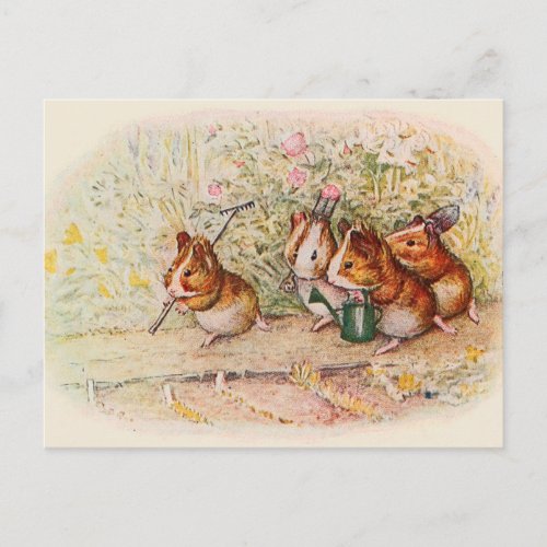 We Have a Little Garden Guinea Pigs Song Postcard