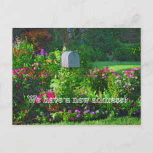 We Have a New Address Announcement Postcard