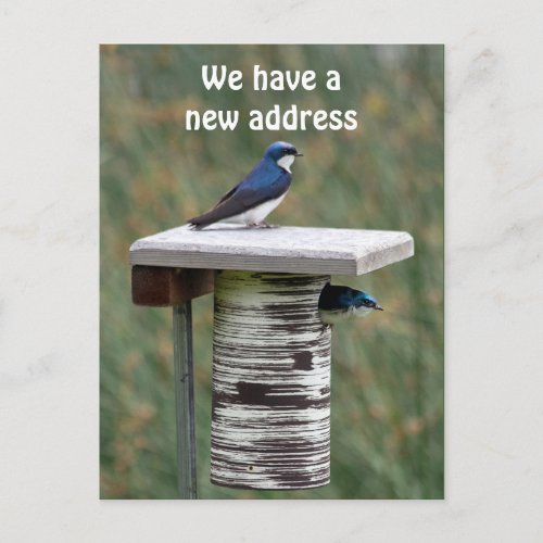 We Have a New Address Announcement Postcard