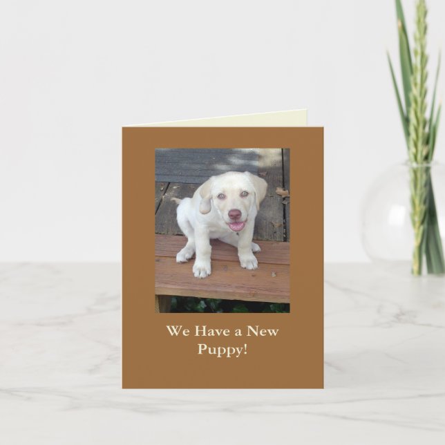 We Have a New Puppy Dog Announcement Customizable (Front)