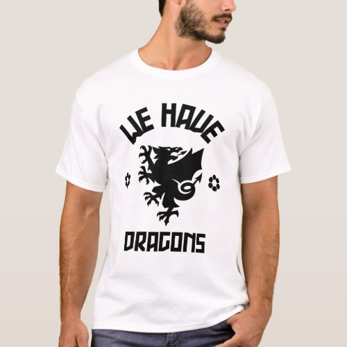 We Have Dragons _ Wales Football Gift T_Shirt