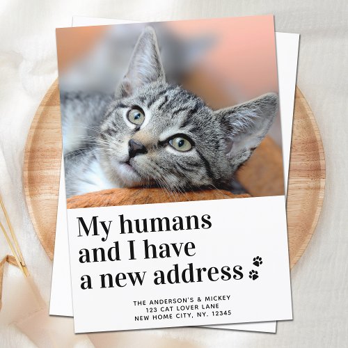 We Have Moved New Address Pet Photo Cat Moving Announcement