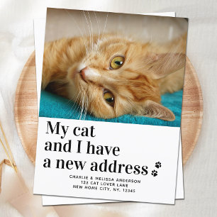 We Have Moved New Address Pet Photo Cat Moving Announcement Postcard