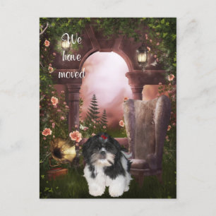 "We have moved" Shih Tzu Postcard