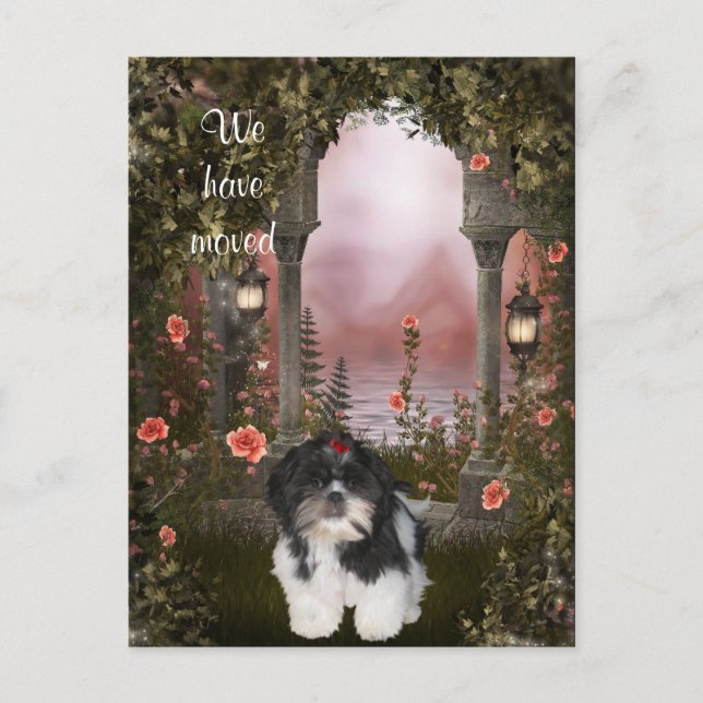 "We have moved" Shih Tzu Postcard (Front)