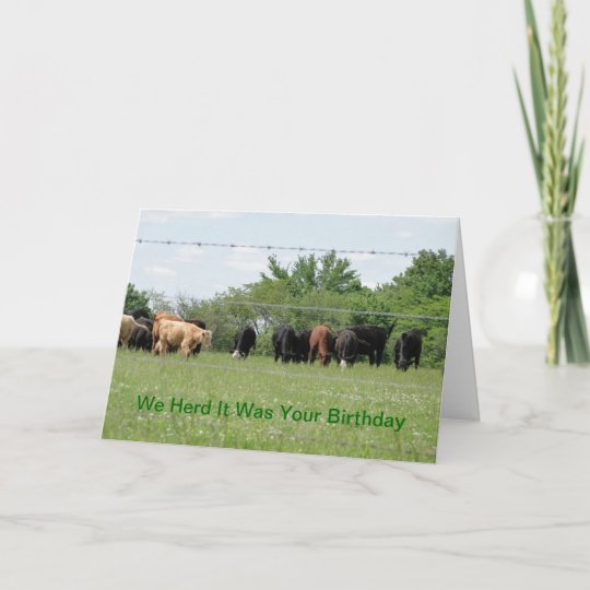 We Herd It Was Your Birthday Card | Zazzle.com