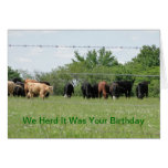 Herd it was Your Birthday Cow Card | Zazzle