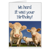 We Herd it Was Your Birthday Fun Cow Humor (Front)
