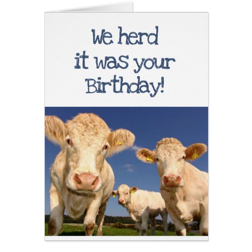 We Herd it Was Your Birthday Fun Cow Humor